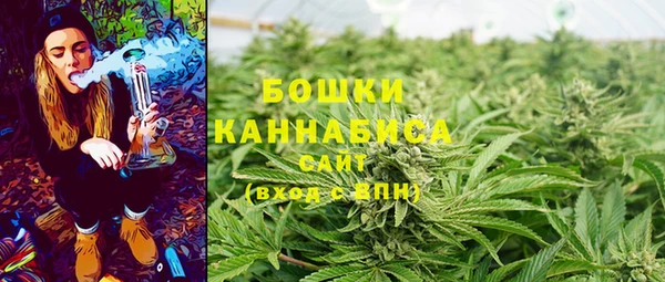 дурь Аркадак