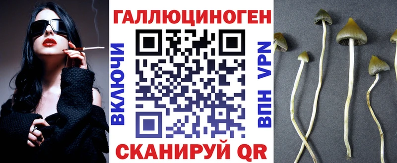 наркота  Усмань  блэк спрут рабочий сайт  Галлюциногенные грибы Psilocybine cubensis 