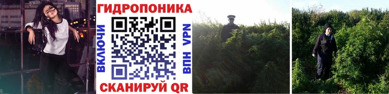 хочу наркоту  Усмань  Бошки Шишки марихуана 